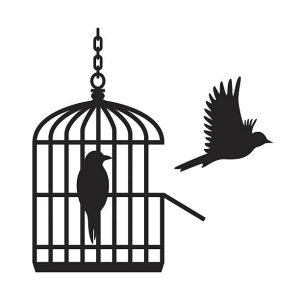 Birds in open birdcage vector Illustration